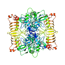 BU of 6si8 by Molmil