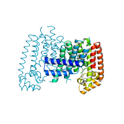 BU of 6sii by Molmil