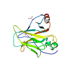 BU of 6sl6 by Molmil