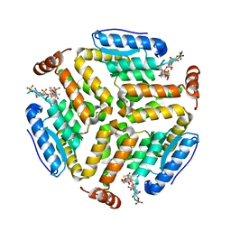 BU of 6sla by Molmil