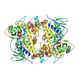 AU of 6slt by Molmil