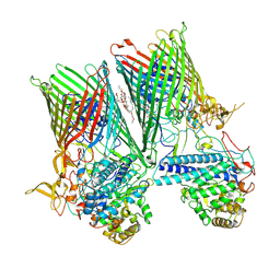 BU of 6smq by Molmil