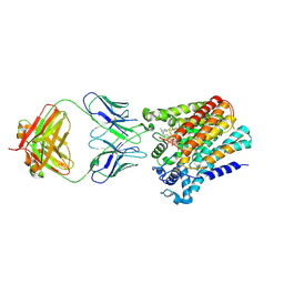 BU of 6snh by Molmil