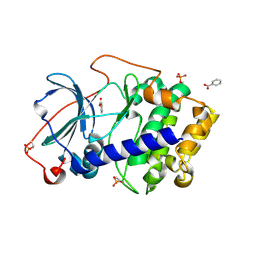 BU of 6snn by Molmil