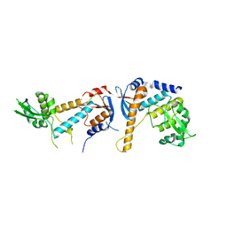 BU of 6snv by Molmil