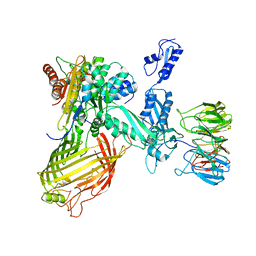 BU of 6sob by Molmil