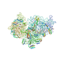 BU of 6spc by Molmil