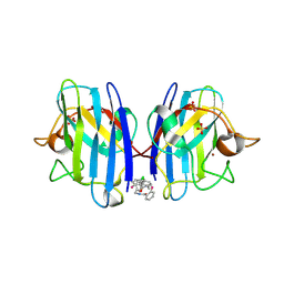 BU of 6spi by Molmil