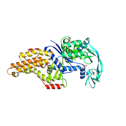 BU of 6spp by Molmil