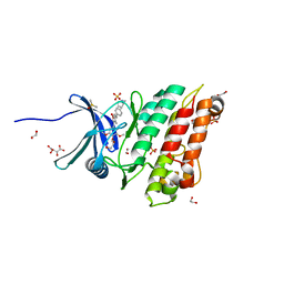 BU of 6srh by Molmil