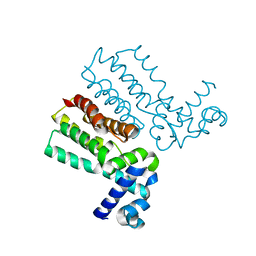 AU of 6srm by Molmil