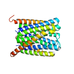 BU of 6ssr by Molmil