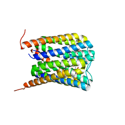 BU of 6ssw by Molmil