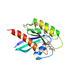 BU of 6stg by Molmil