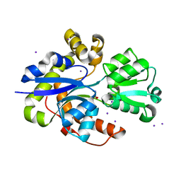 BU of 6stl by Molmil