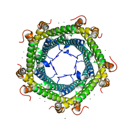BU of 6suw by Molmil