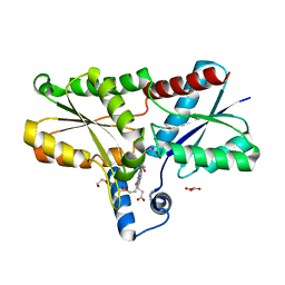 BU of 6sv3 by Molmil