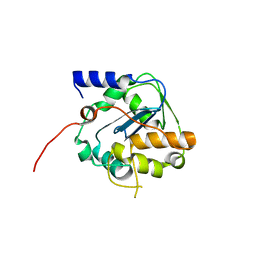 BU of 6sx8 by Molmil