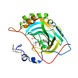 BU of 6sys by Molmil