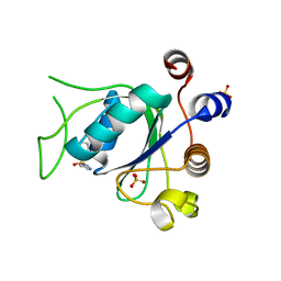 BU of 6t08 by Molmil