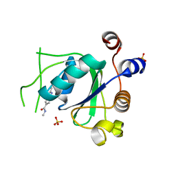 BU of 6t12 by Molmil