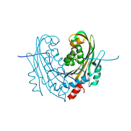 BU of 6t1a by Molmil