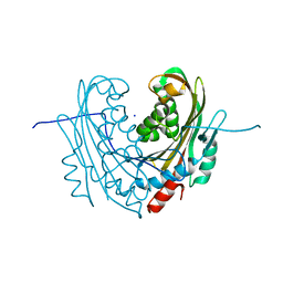 BU of 6t1c by Molmil