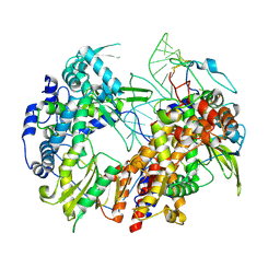 BU of 6t2c by Molmil