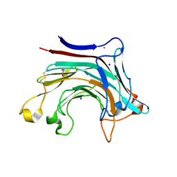 BU of 6t2q by Molmil