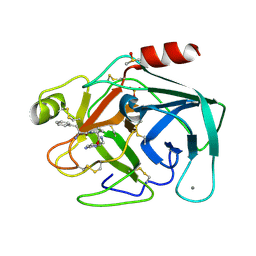 BU of 6t5w by Molmil