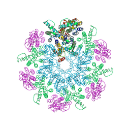 BU of 6t64 by Molmil