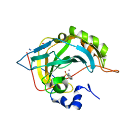 BU of 6t81 by Molmil