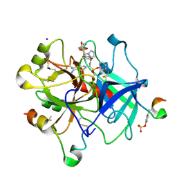 BU of 6t8a by Molmil