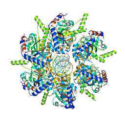 BU of 6t8b by Molmil