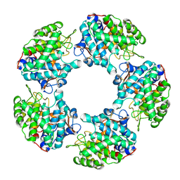 BU of 6t9h by Molmil