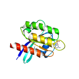 BU of 6tam by Molmil