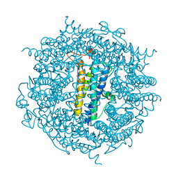 BU of 6tb5 by Molmil