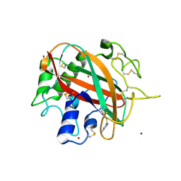 BU of 6tbr by Molmil