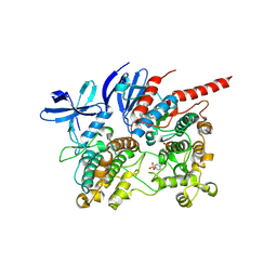 BU of 6tca by Molmil