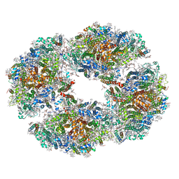 BU of 6tcl by Molmil