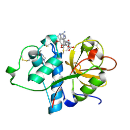 BU of 6tcx by Molmil