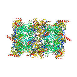 BU of 6tcz by Molmil