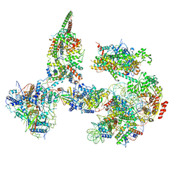 AU of 6tda by Molmil