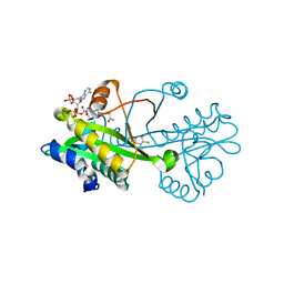 BU of 6tdg by Molmil