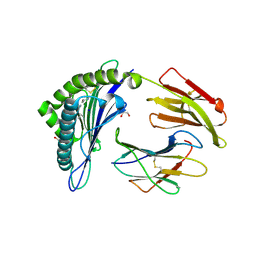 BU of 6tdp by Molmil