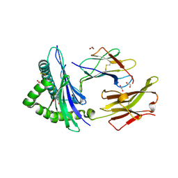 BU of 6tdq by Molmil