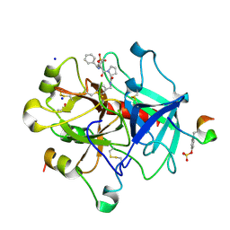 BU of 6tdt by Molmil