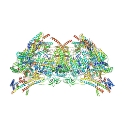 BU of 6tdv by Molmil