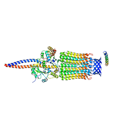 BU of 6tdx by Molmil