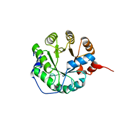 BU of 6tfa by Molmil